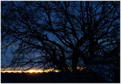 " L'éclipse de ce matin "FLOP 1 "