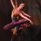 LeCorsaire