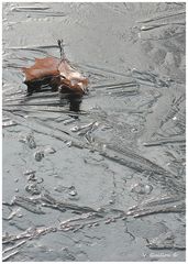 L'ECRIN DE GLACE