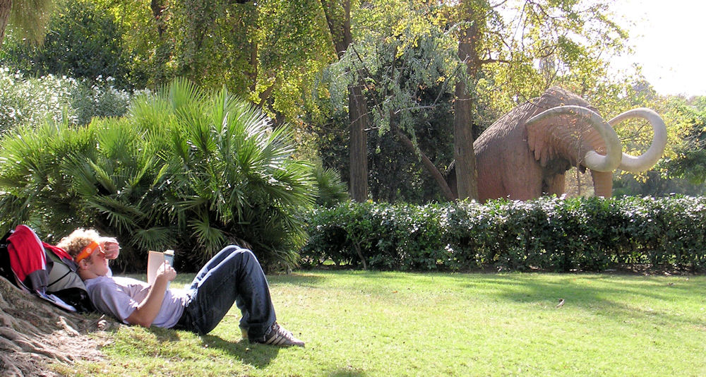 LECTURA EN EL PARQUE de joan soldevila adan 