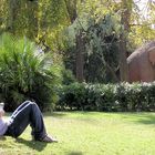 LECTURA EN EL PARQUE