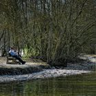 Lecture au bord de l'eau