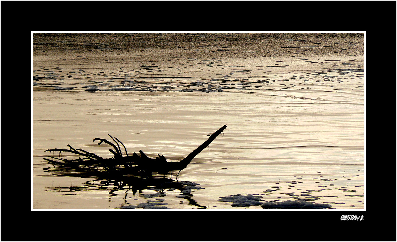 L'écume du contre-jour...