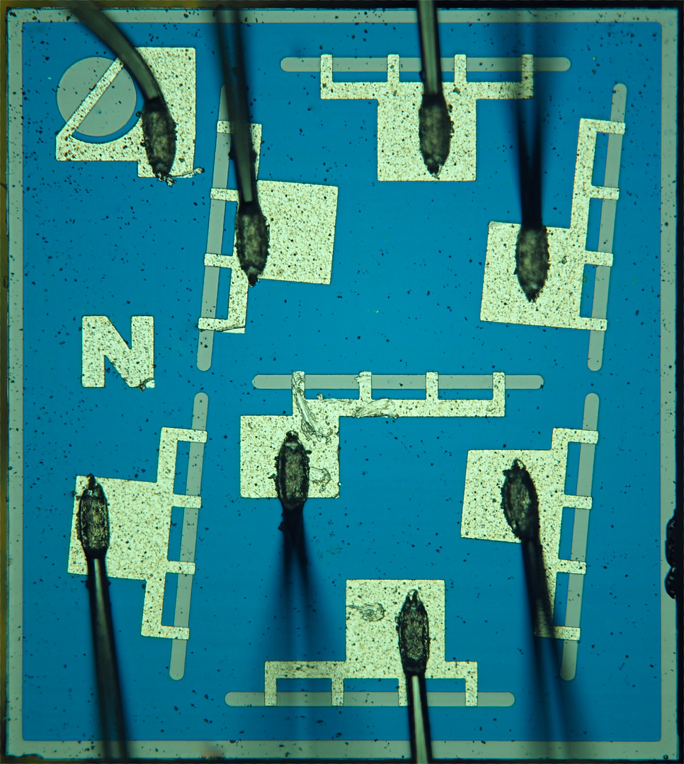 LED 7 Segment Display (Linse davor entfernt)