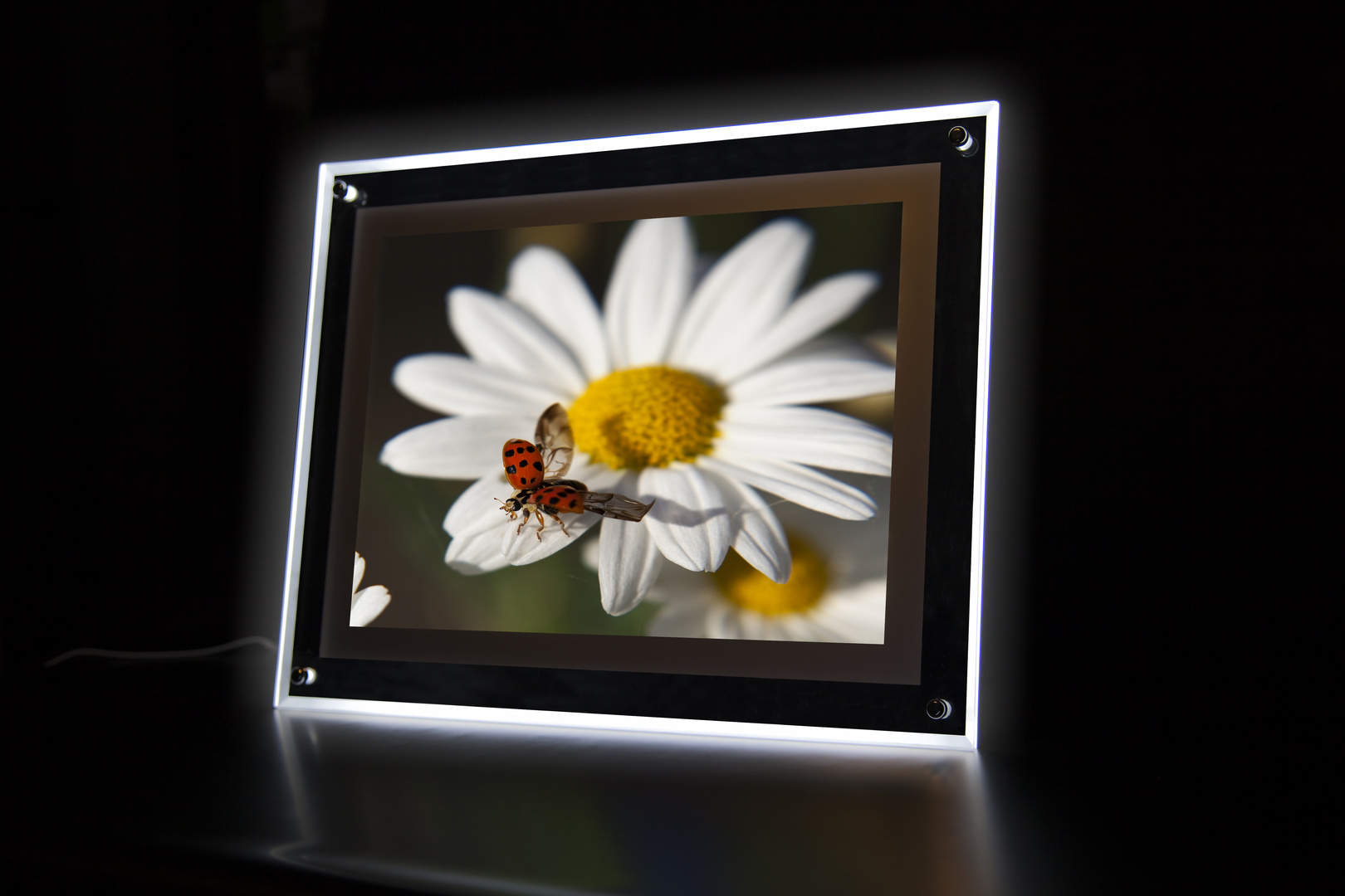 LED-Frame-Style