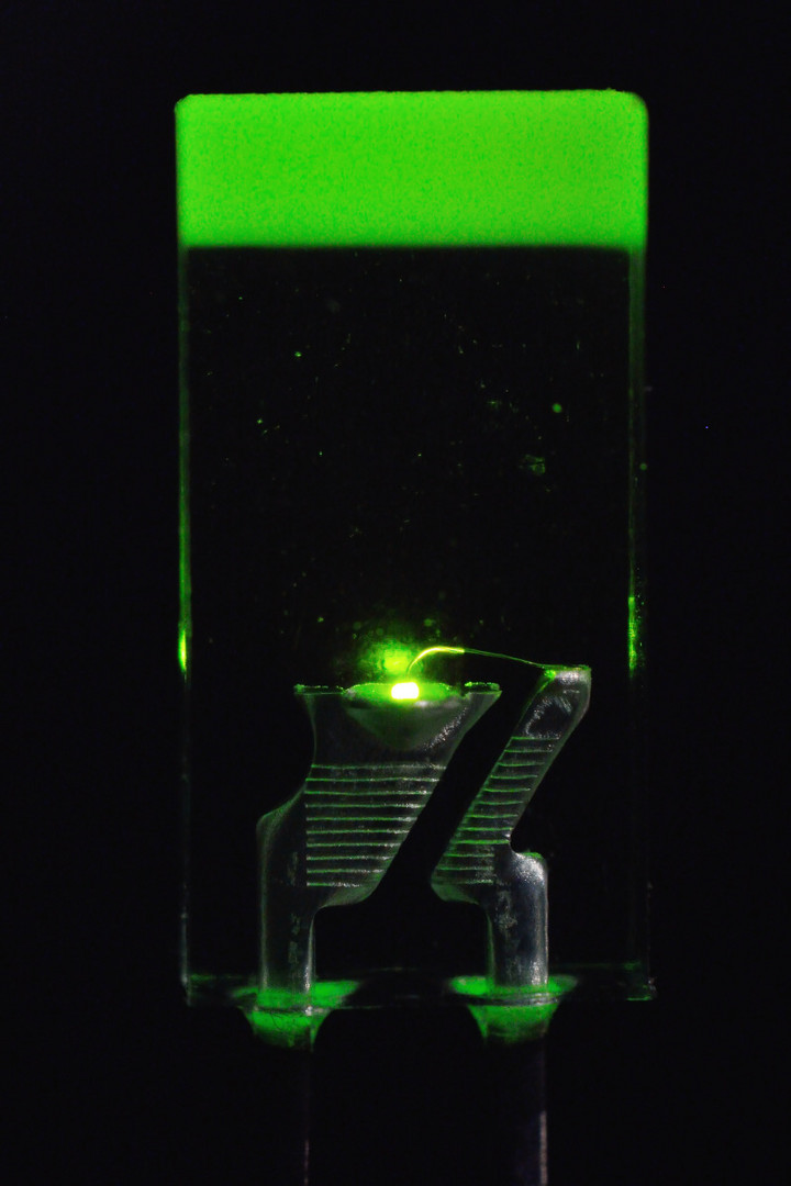 LED grün 5mm
