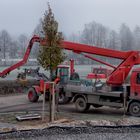 LED Lichttechnik hält Einzug in Frankenhardt