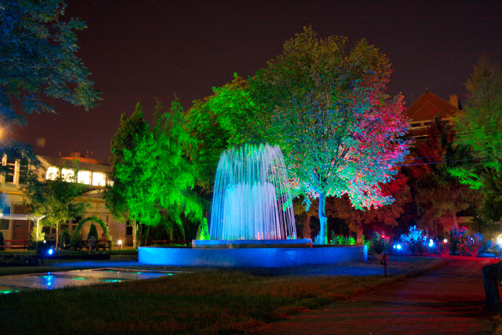 LED Reflektoren im Park neben der Uni (Timisoara)