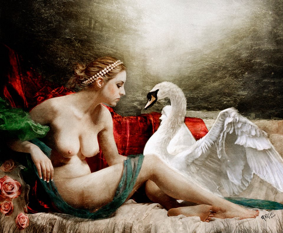 Leda & the Swan