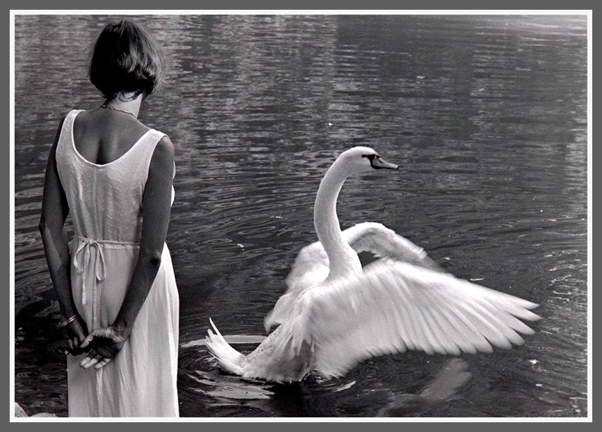 Leda und der Schwan Foto & Bild erwachsene menschen, menschen in der