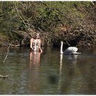 Leda und der Schwan