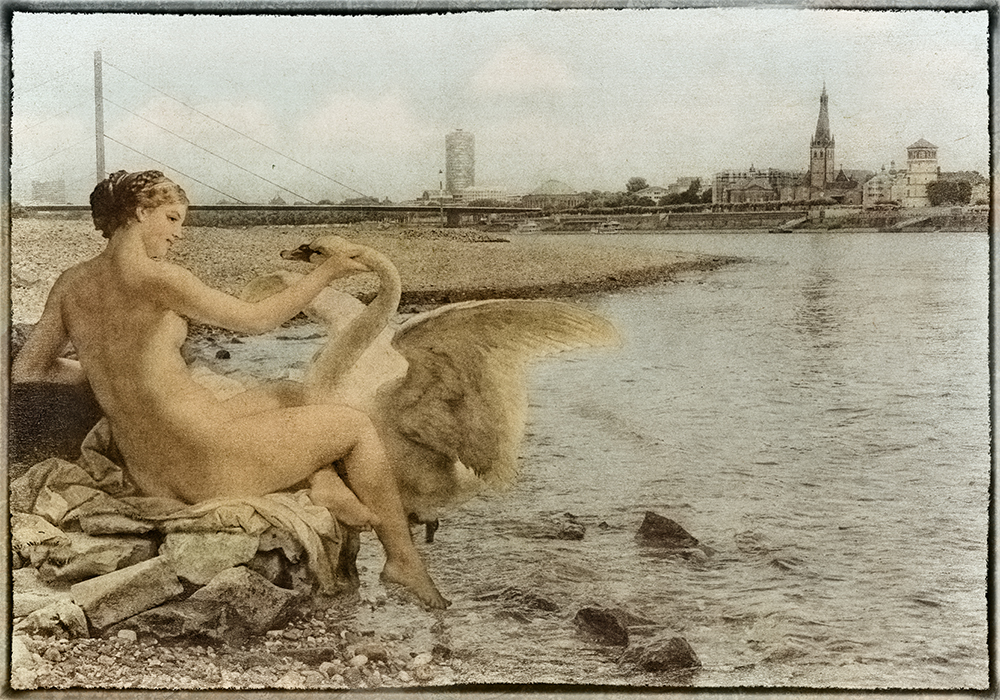 Leda und der Schwan bei Düsseldorf