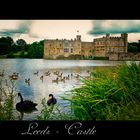 Leeds - Castle