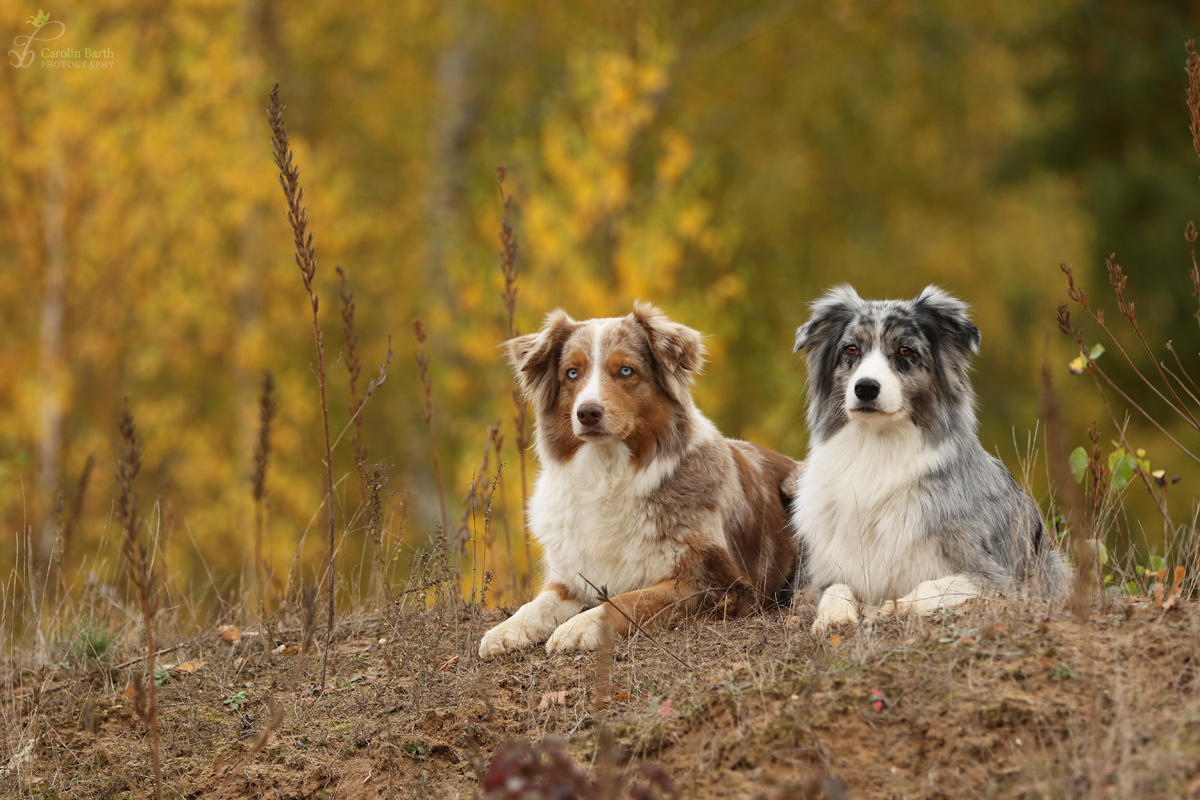 Leela und Melody