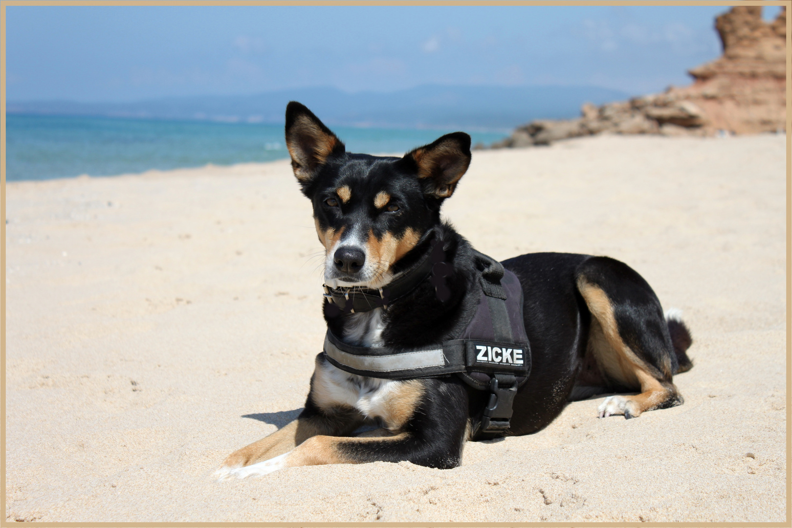 Leena am Strand von Sardinien....