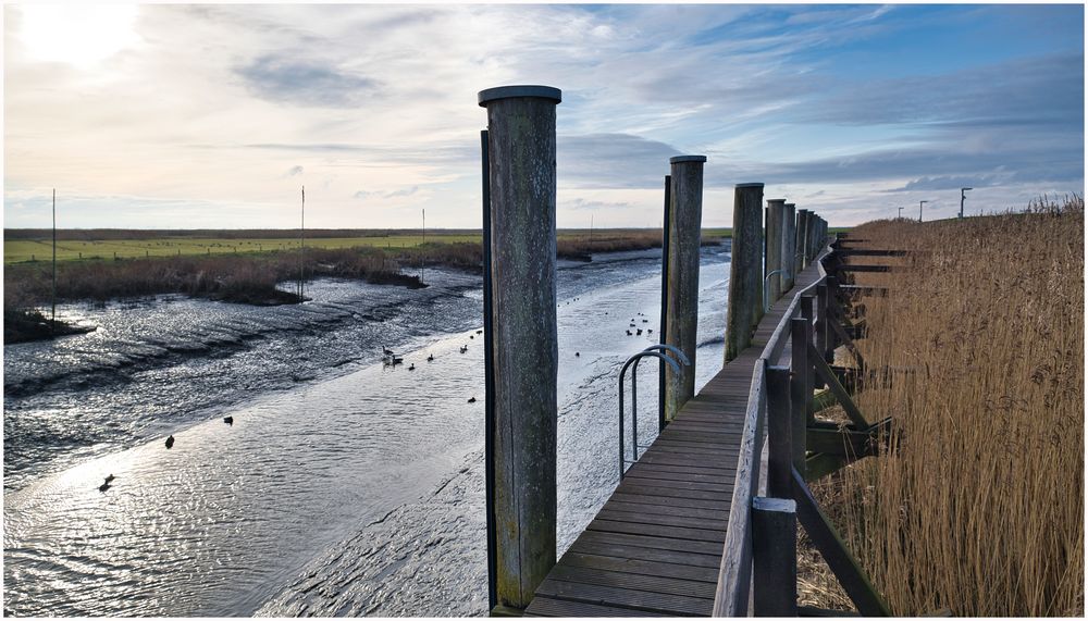 leer der Hafen von Neufeld an der Elbe