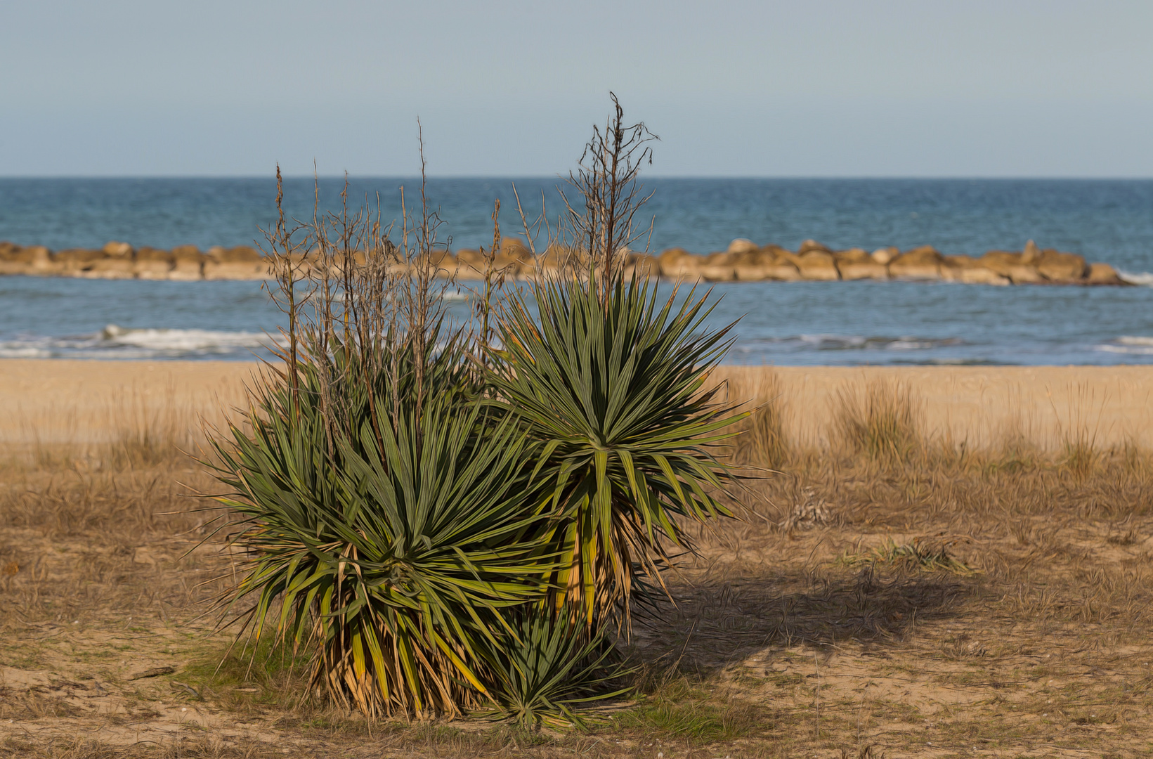 leer und verlassen ist der Strand jetzt