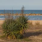 leer und verlassen ist der Strand jetzt