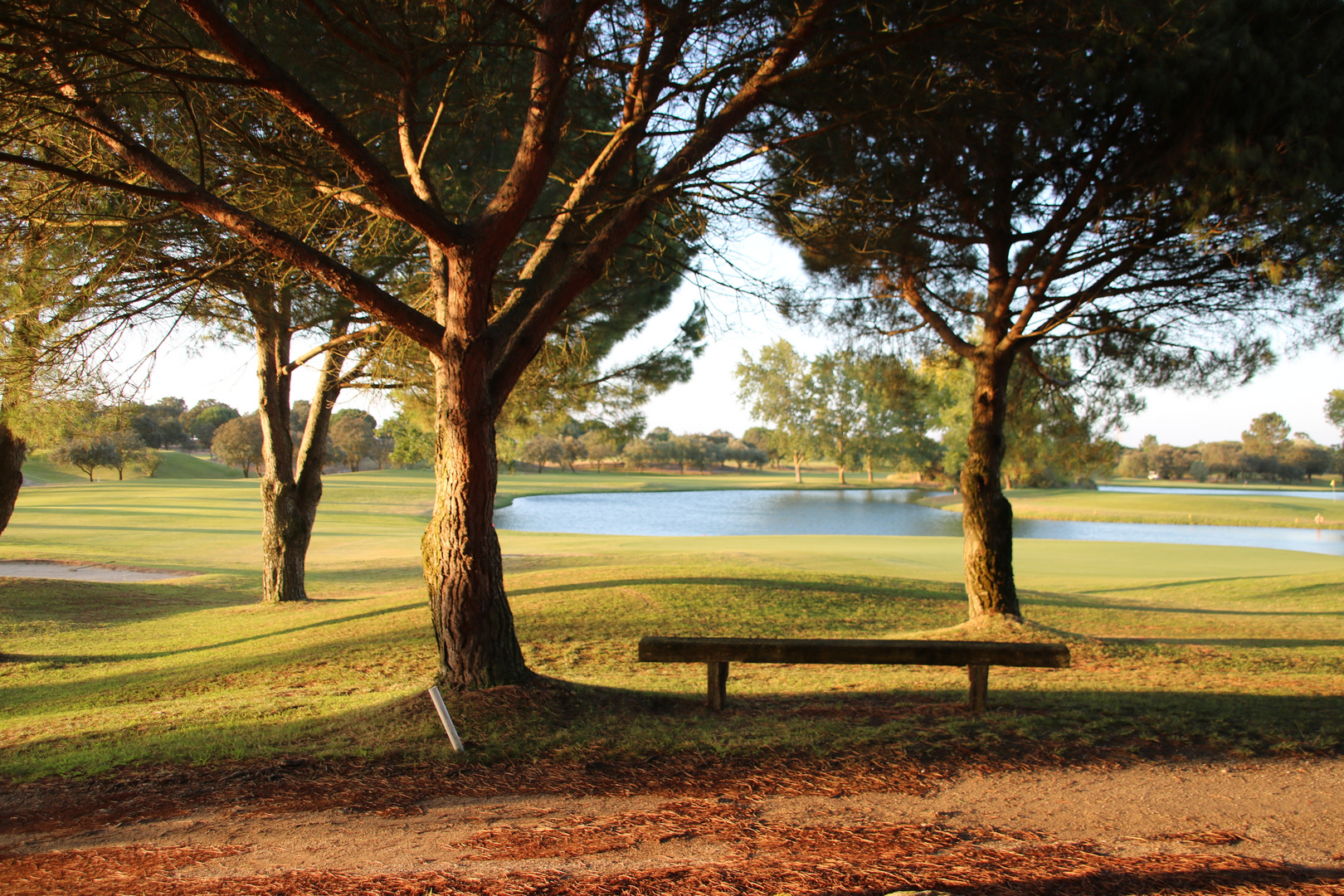 Leere Bank am Golfpark in Lissabon