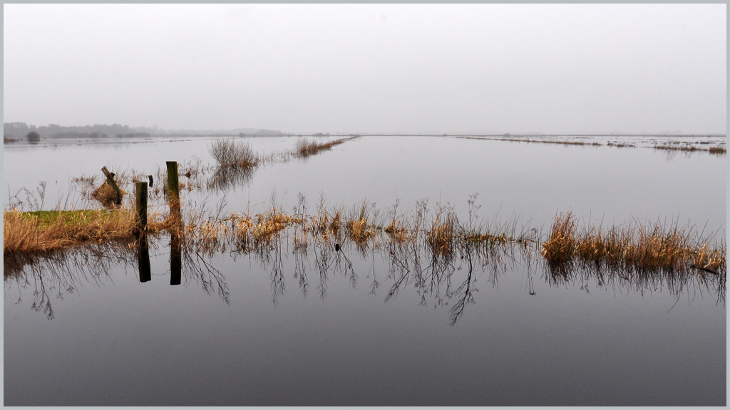 "Leere Landschaften" (1)