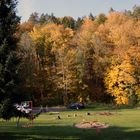 leere Spielplätze im Herbstwald