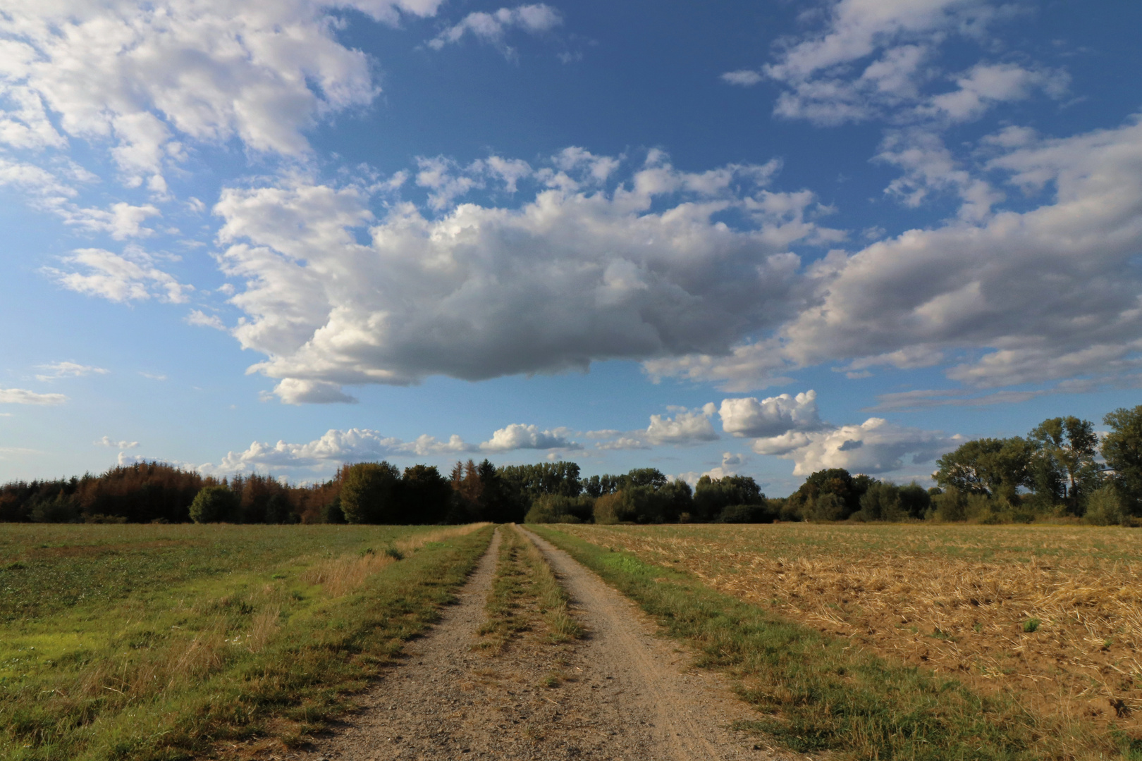 Leerer Acker am Scharenkamp