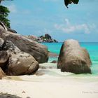 Leerer Strand Similan Islands