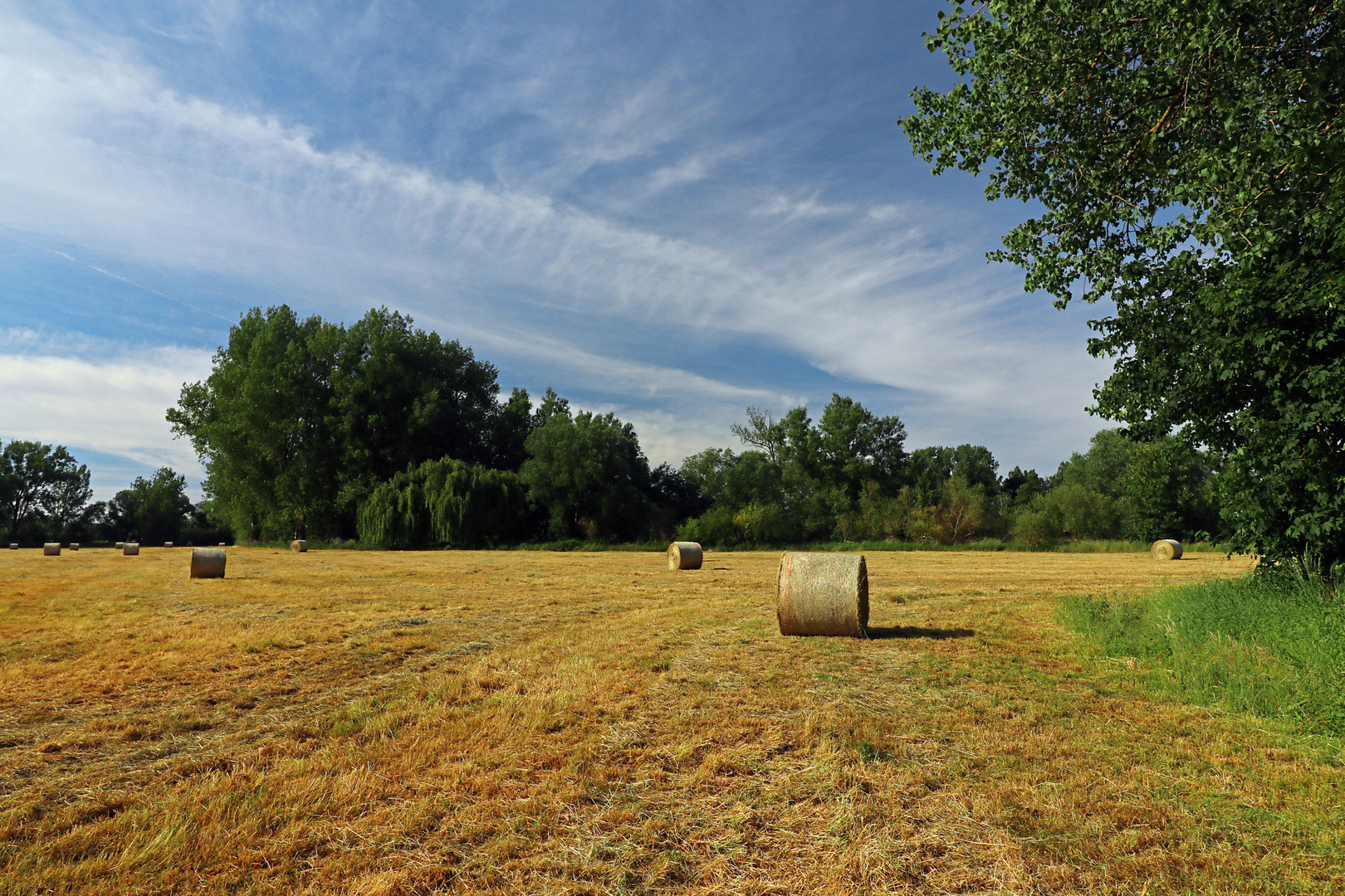 Leeres Feld mit Heuballen