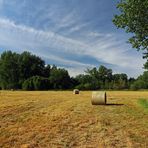 Leeres Feld mit Heuballen