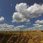 Leeres Feld, Wolken