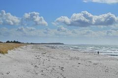  Leeres Paradies /Insel Hiddensee 