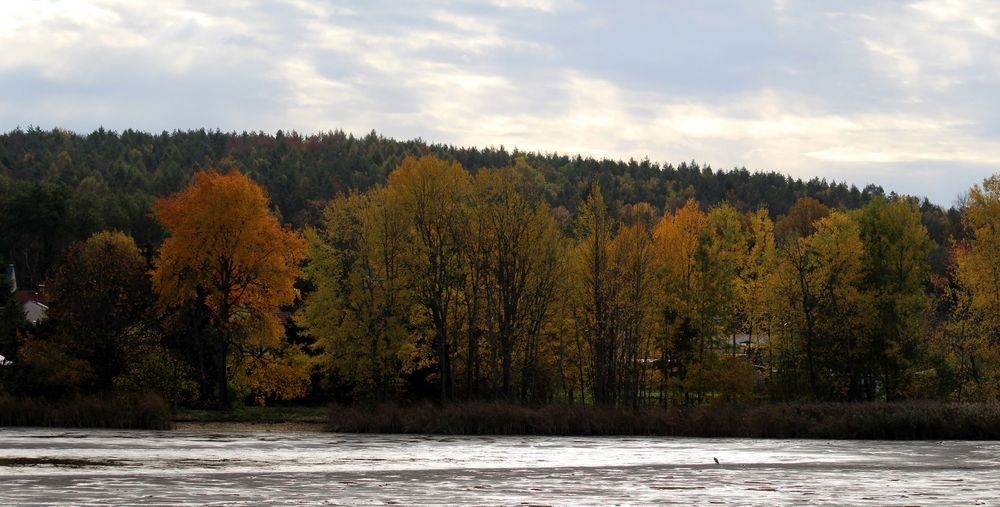 leeres Seebecken im Vogelschutzgebiet