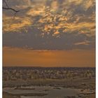 Leeres Wasserloch in der Etosha Pfanne