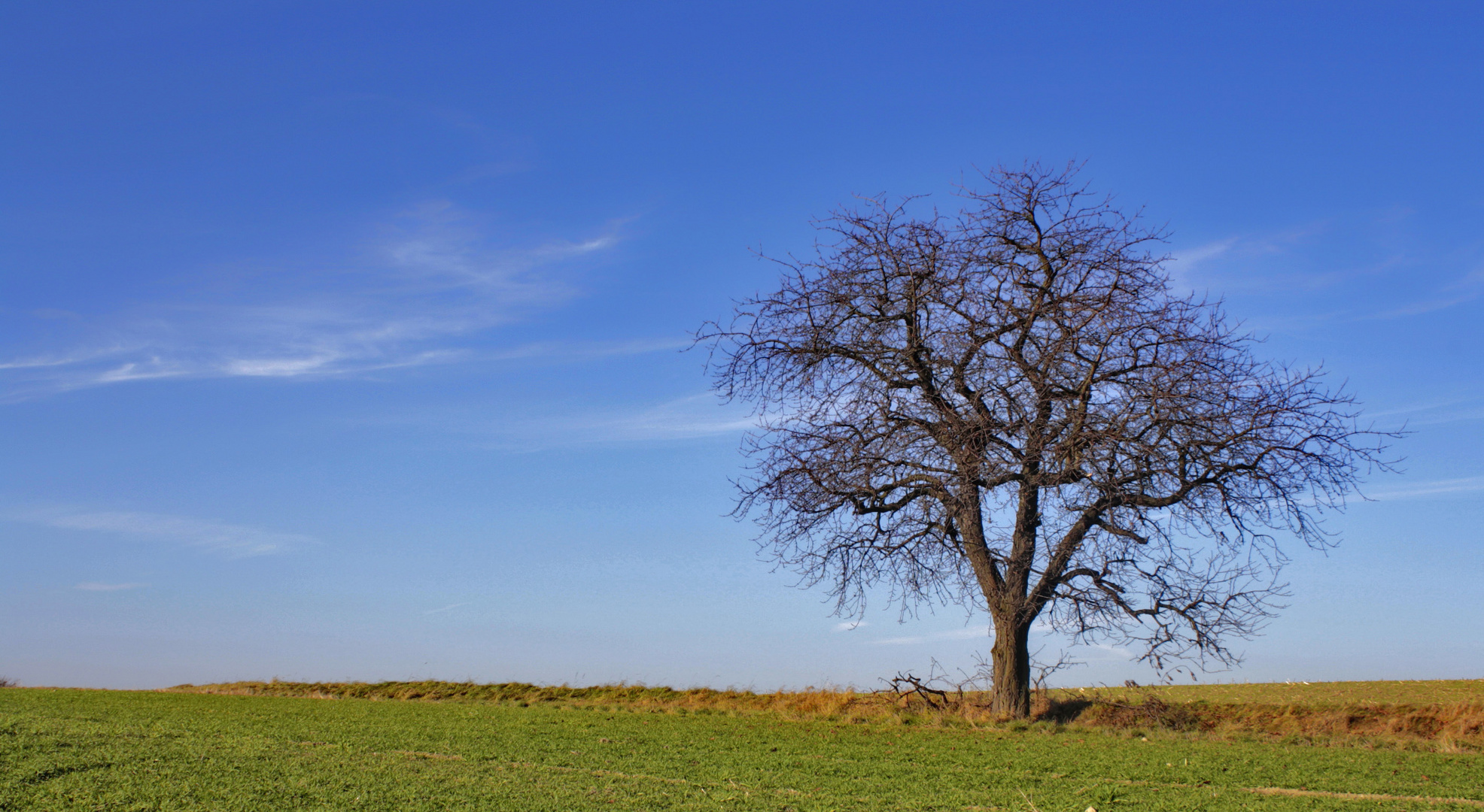 leerstehend