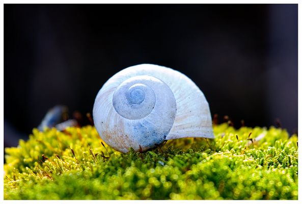 Leerstehende Wohnung gefunden...