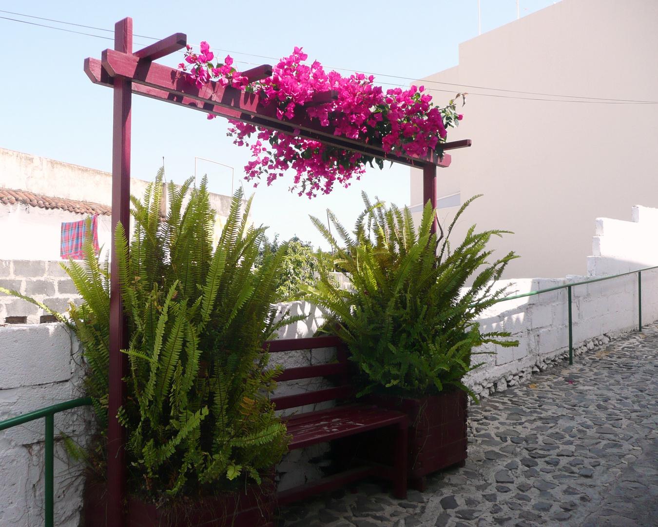 Leerstuhl an der University of Applied Pleasure Science in Agulo anzubieten