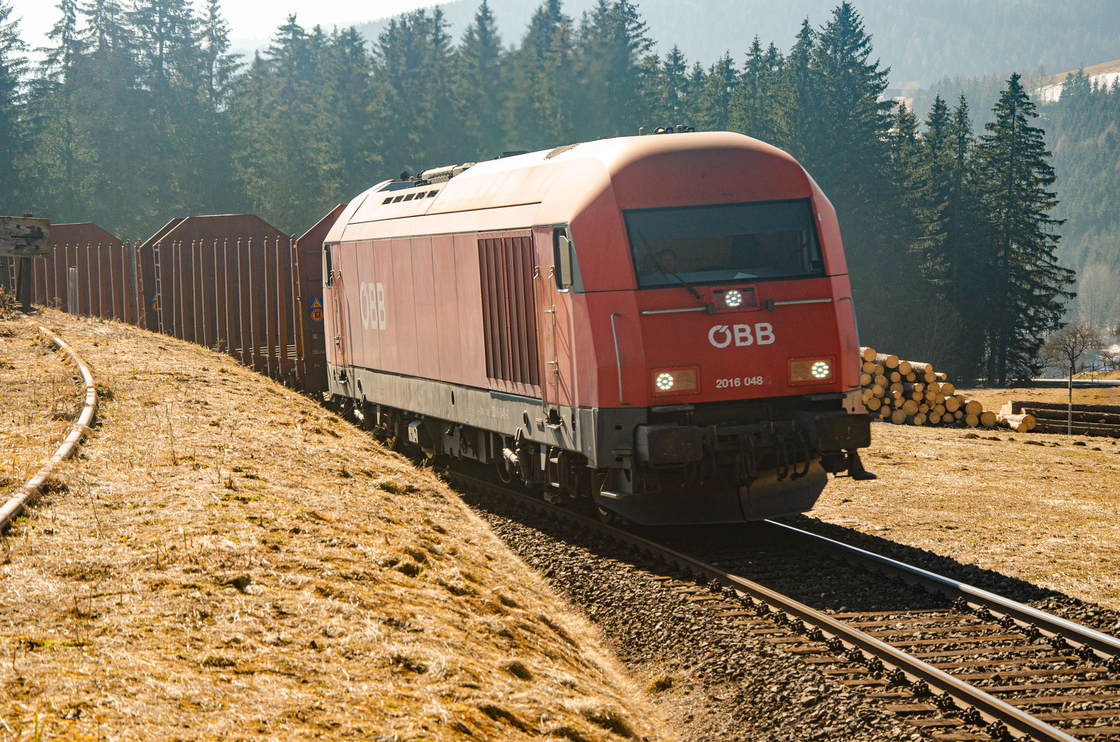 Leerzug kommt aus der Sonne