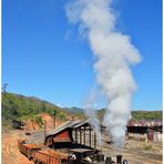 Leerzug zur alten Hütte VIII