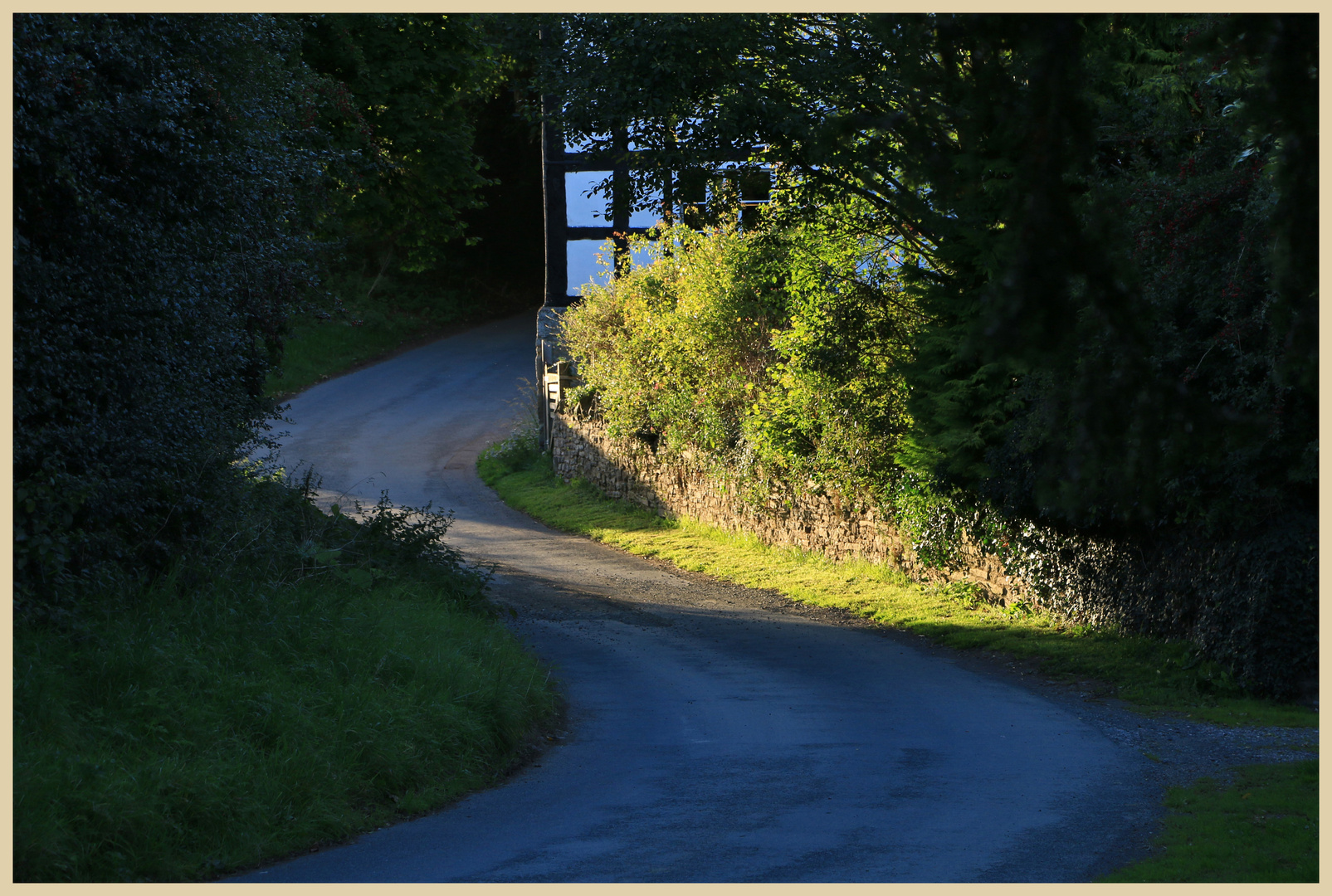 Lees lane at Bircher