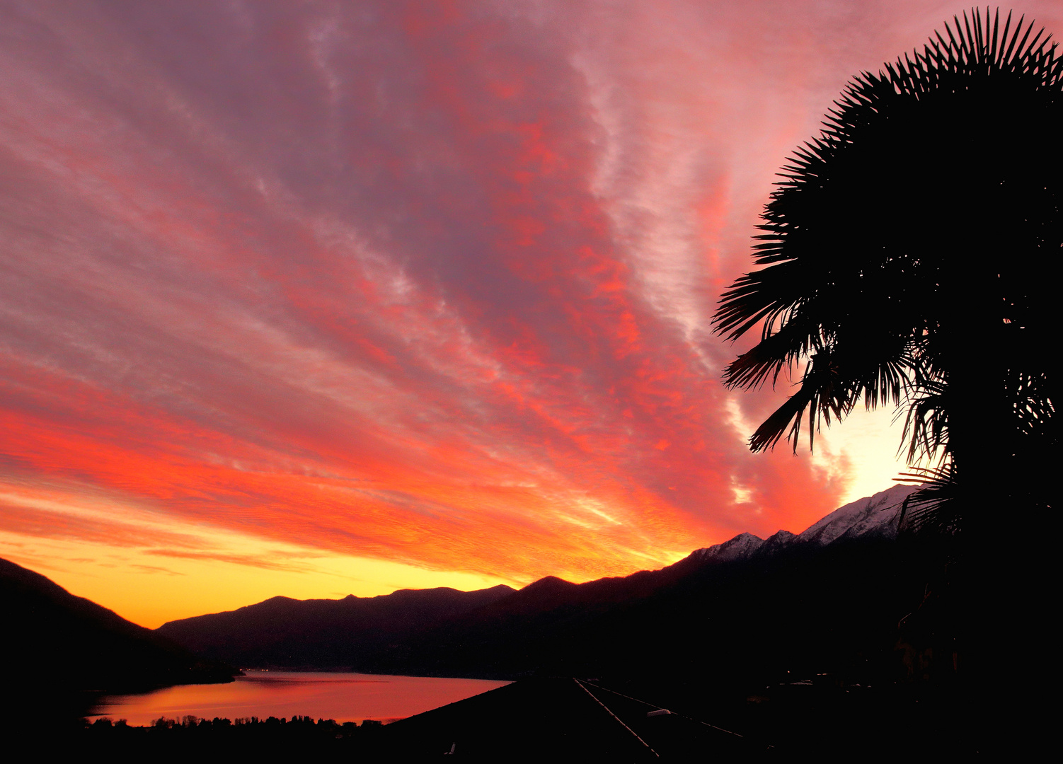 Leewelle Lago Maggiore