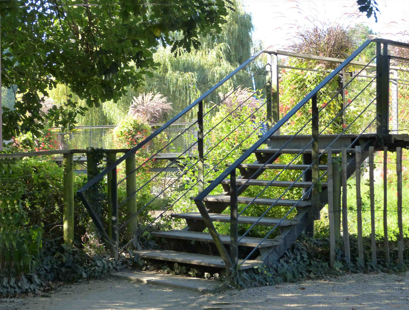 L'effet de la rampe, végétalisée.