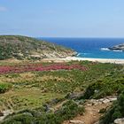 Lefka Beach auf der Insel Andros