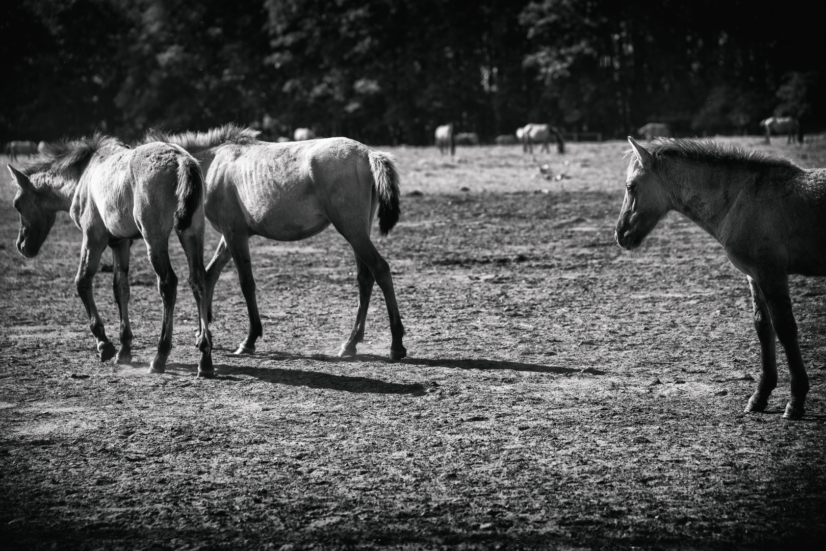 left behind