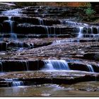 Left Fork of North Creek