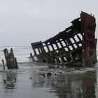 leftovers of the wreck of the "Peter Iredale"
