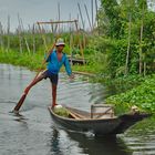 Leg-rowing Intha man in Nge Hpe Chaung at the Inle lake