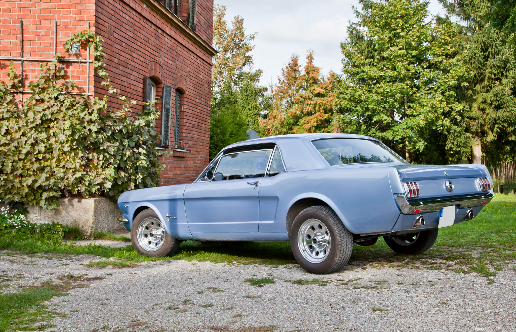 LEGALIZE FREEDOM - Ford Mustang