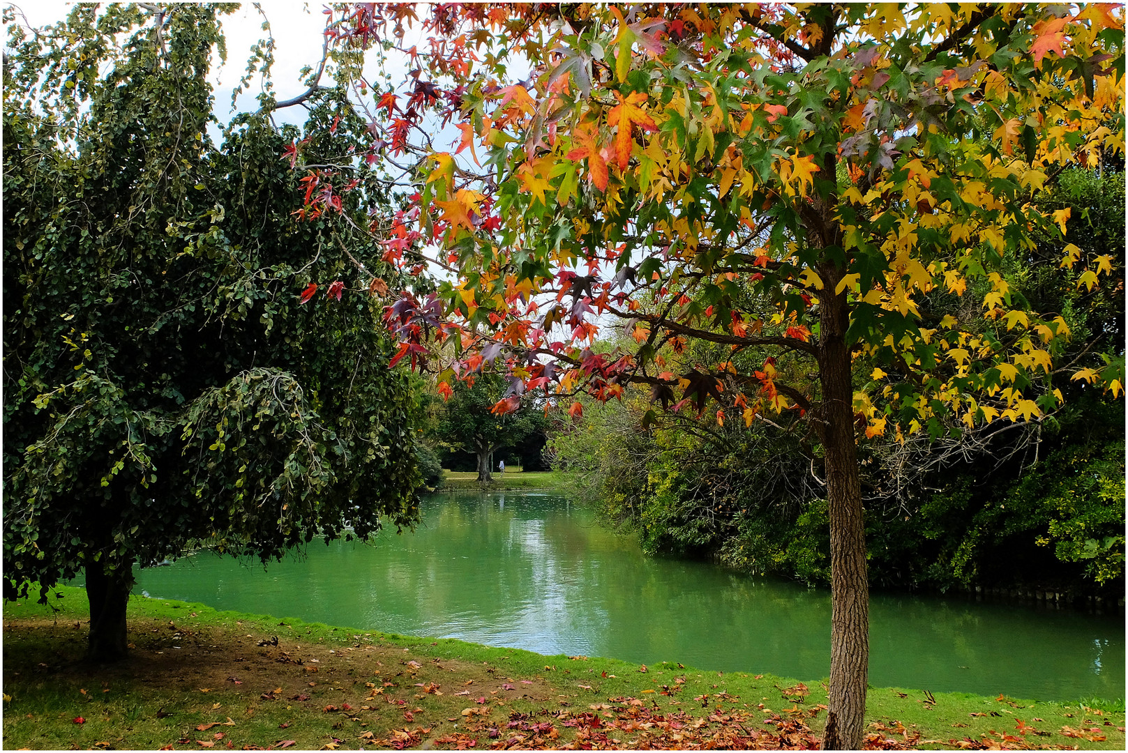 Légendes d'automne (2)