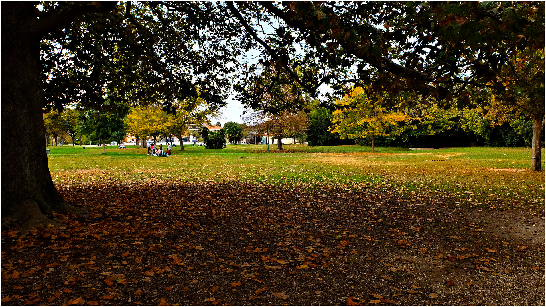 Légendes d'automne (3)