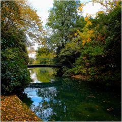 Légendes d'automne (4)